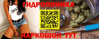 амф Обь