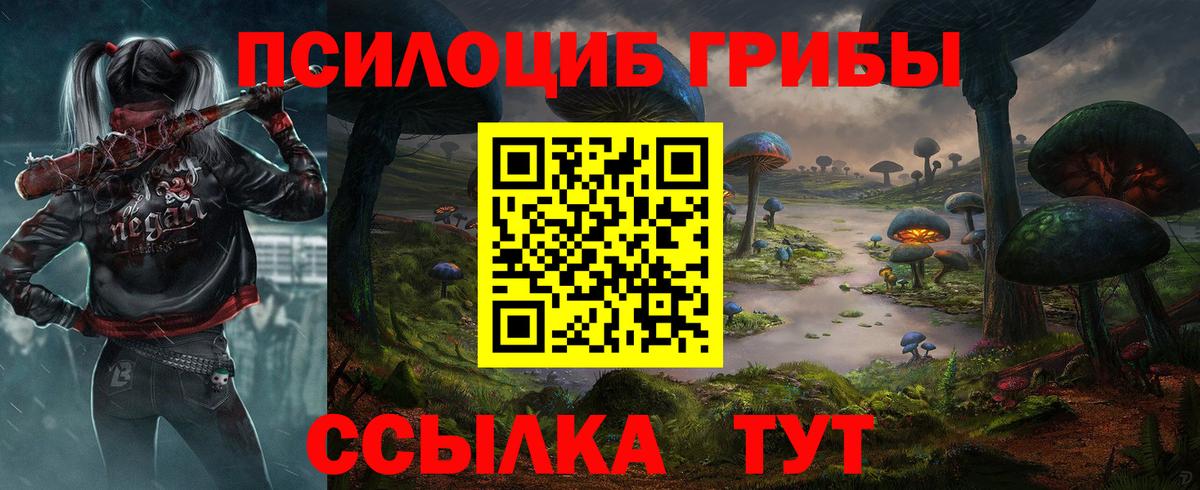 Псилоцибиновые грибы Cubensis Краснокамск