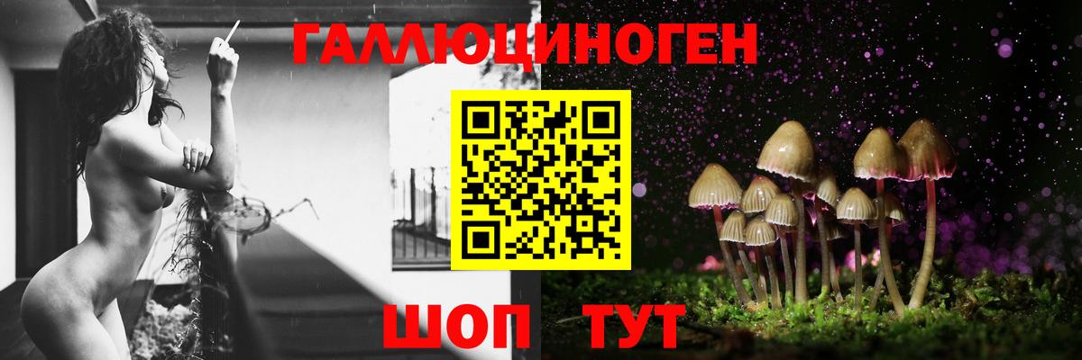Псилоцибиновые грибы Cubensis  Вход с VPN  Краснокамск 